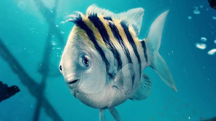 Siapa Nama Ikan Teman Baik Ariel: Jawaban Game Nego Neko!